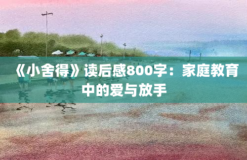 《小舍得》读后感800字：家庭教育中的爱与放手