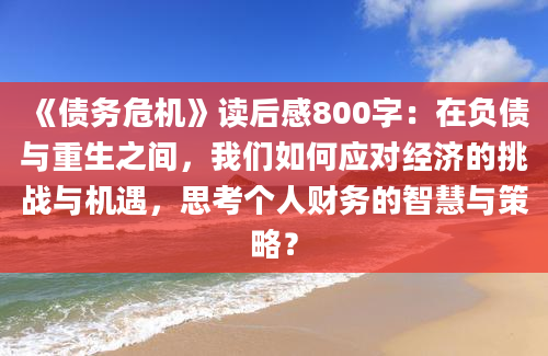 《债务危机》读后感800字：在负债与重生之间，我们如何应对经济的挑战与机遇，思考个人财务的智慧与策略？