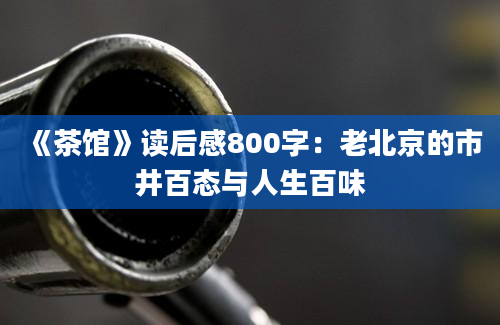 《茶馆》读后感800字：老北京的市井百态与人生百味