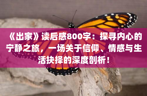 《出家》读后感800字：探寻内心的宁静之旅，一场关于信仰、情感与生活抉择的深度剖析！