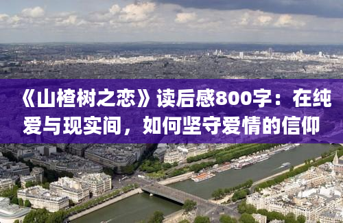 《山楂树之恋》读后感800字：在纯爱与现实间，如何坚守爱情的信仰