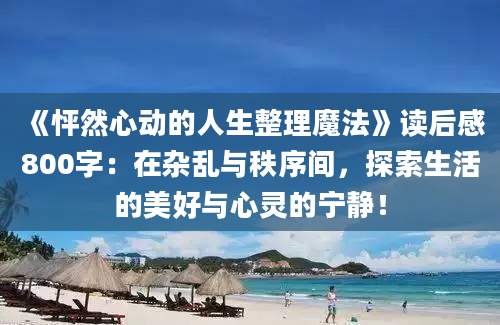 《怦然心动的人生整理魔法》读后感800字：在杂乱与秩序间，探索生活的美好与心灵的宁静！