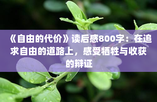 《自由的代价》读后感800字：在追求自由的道路上，感受牺牲与收获的辩证