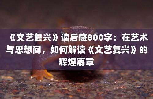 《文艺复兴》读后感800字：在艺术与思想间，如何解读《文艺复兴》的辉煌篇章