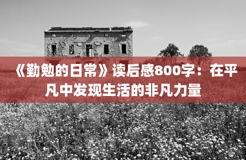 《勤勉的日常》读后感800字：在平凡中发现生活的非凡力量