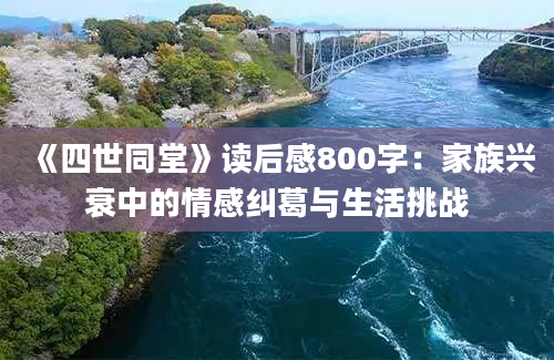 《四世同堂》读后感800字：家族兴衰中的情感纠葛与生活挑战