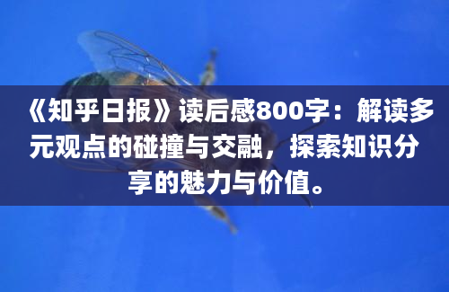 《知乎日报》读后感800字：解读多元观点的碰撞与交融，探索知识分享的魅力与价值。