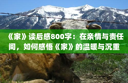 《家》读后感800字：在亲情与责任间，如何感悟《家》的温暖与沉重