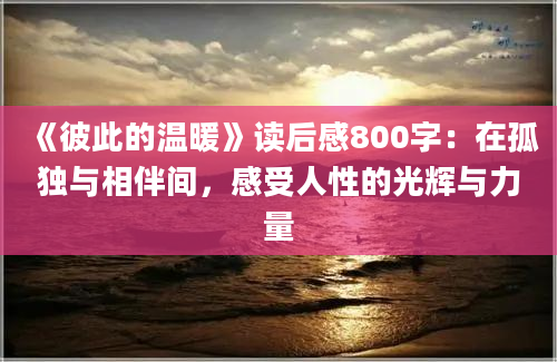 《彼此的温暖》读后感800字：在孤独与相伴间，感受人性的光辉与力量