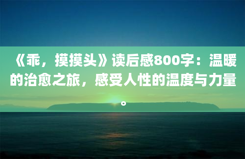 《乖，摸摸头》读后感800字：温暖的治愈之旅，感受人性的温度与力量。