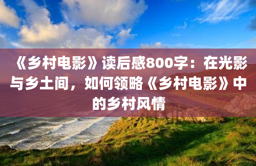 《乡村电影》读后感800字：在光影与乡土间，如何领略《乡村电影》中的乡村风情