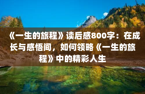 《一生的旅程》读后感800字：在成长与感悟间，如何领略《一生的旅程》中的精彩人生