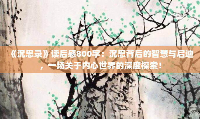 《沉思录》读后感800字：沉思背后的智慧与启迪，一场关于内心世界的深度探索！