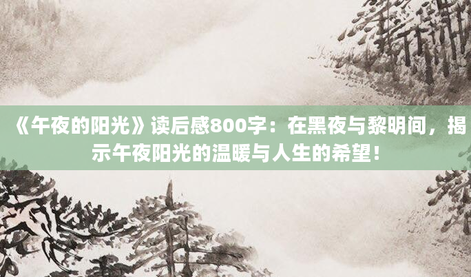 《午夜的阳光》读后感800字：在黑夜与黎明间，揭示午夜阳光的温暖与人生的希望！