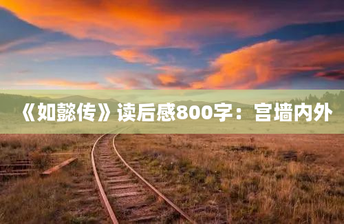 《如懿传》读后感800字：宫墙内外