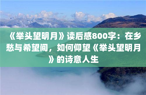 《举头望明月》读后感800字：在乡愁与希望间，如何仰望《举头望明月》的诗意人生