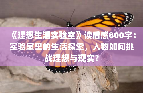 《理想生活实验室》读后感800字：实验室里的生活探索，人物如何挑战理想与现实？