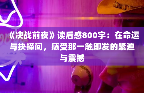 《决战前夜》读后感800字：在命运与抉择间，感受那一触即发的紧迫与震撼