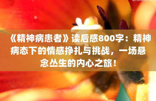 《精神病患者》读后感800字：精神病态下的情感挣扎与挑战，一场悬念丛生的内心之旅！