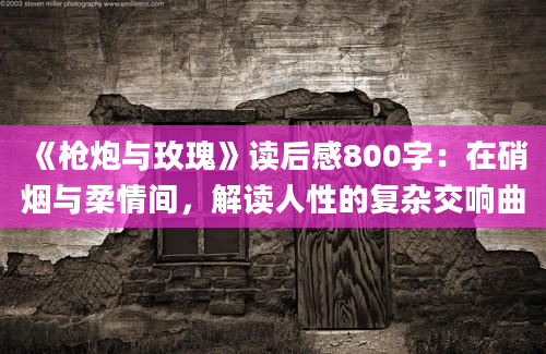 《枪炮与玫瑰》读后感800字：在硝烟与柔情间，解读人性的复杂交响曲