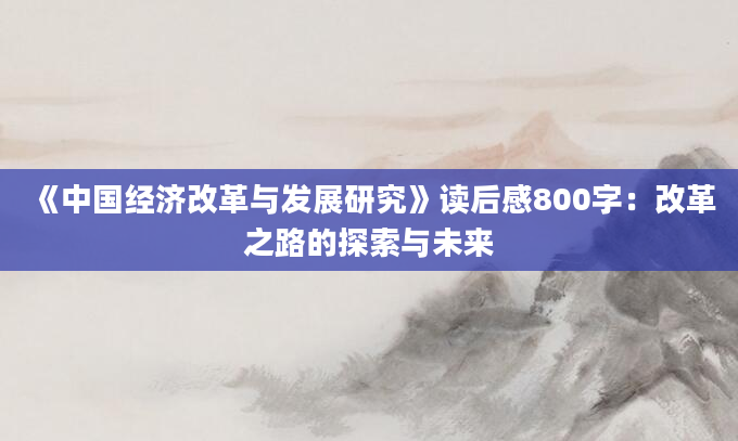 《中国经济改革与发展研究》读后感800字：改革之路的探索与未来