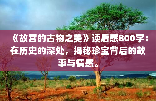 《故宫的古物之美》读后感800字：在历史的深处，揭秘珍宝背后的故事与情感。