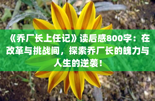 《乔厂长上任记》读后感800字：在改革与挑战间，探索乔厂长的魄力与人生的逆袭！