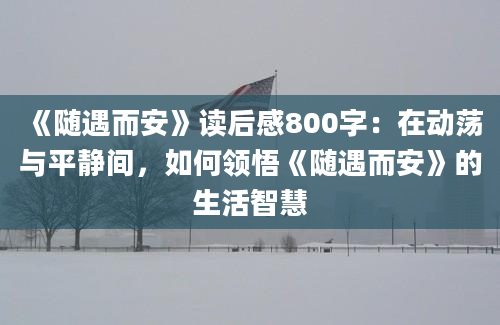 《随遇而安》读后感800字：在动荡与平静间，如何领悟《随遇而安》的生活智慧