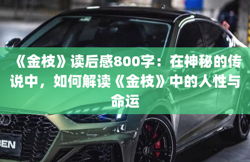 《金枝》读后感800字：在神秘的传说中，如何解读《金枝》中的人性与命运