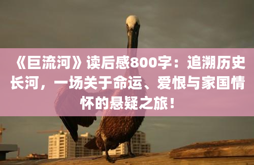 《巨流河》读后感800字：追溯历史长河，一场关于命运、爱恨与家国情怀的悬疑之旅！