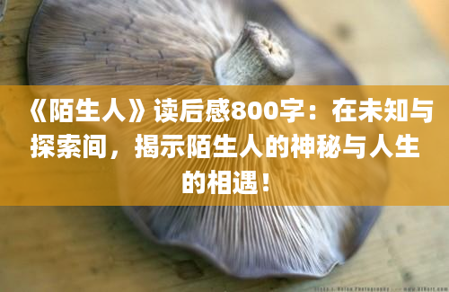 《陌生人》<a href=https://www.baixuetang.com target=_blank class=infotextkey>读后感</a>800字：在未知与探索间，揭示陌生人的神秘与人生的相遇！