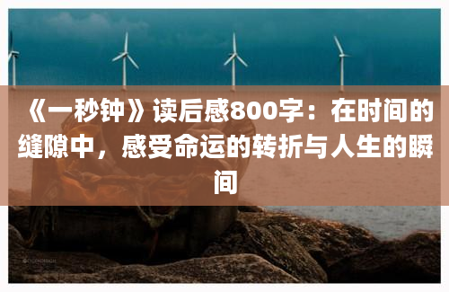 《一秒钟》读后感800字：在时间的缝隙中，感受命运的转折与人生的瞬间