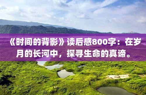 《时间的背影》读后感800字：在岁月的长河中，探寻生命的真谛。