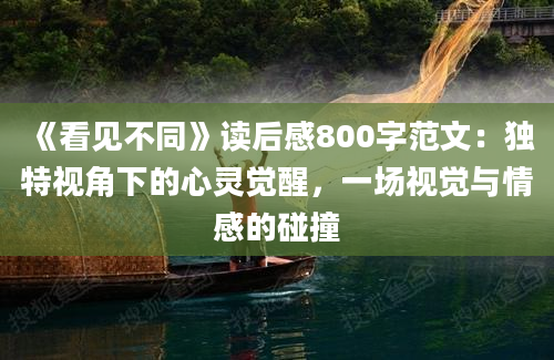 《看见不同》读后感800字范文：独特视角下的心灵觉醒，一场视觉与情感的碰撞