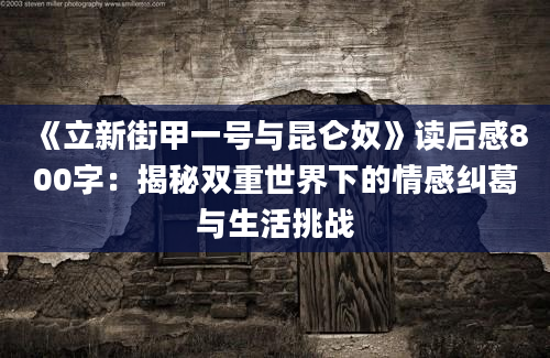 《立新街甲一号与昆仑奴》读后感800字：揭秘双重世界下的情感纠葛与生活挑战