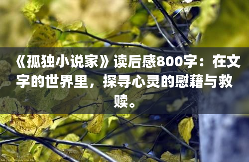 《孤独小说家》读后感800字：在文字的世界里，探寻心灵的慰藉与救赎。