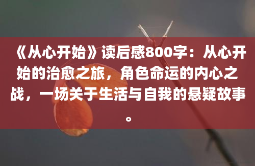 《从心开始》读后感800字：从心开始的治愈之旅，角色命运的内心之战，一场关于生活与自我的悬疑故事。