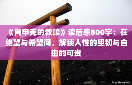 《肖申克的救赎》<a href=https://www.baixuetang.com target=_blank class=infotextkey>读后感</a>800字：在绝望与希望间，解读人性的坚韧与自由的可贵