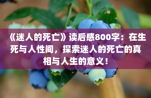 《迷人的死亡》读后感800字：在生死与人性间，探索迷人的死亡的真相与人生的意义！