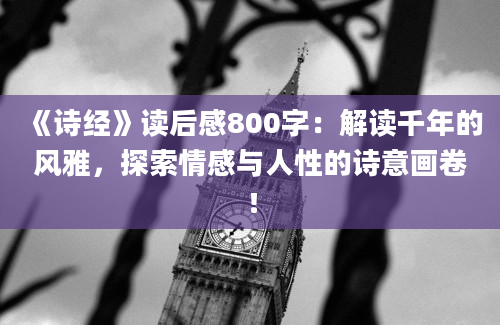 《诗经》读后感800字：解读千年的风雅，探索情感与人性的诗意画卷！