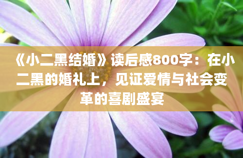 《小二黑结婚》读后感800字：在小二黑的婚礼上，见证爱情与社会变革的喜剧盛宴