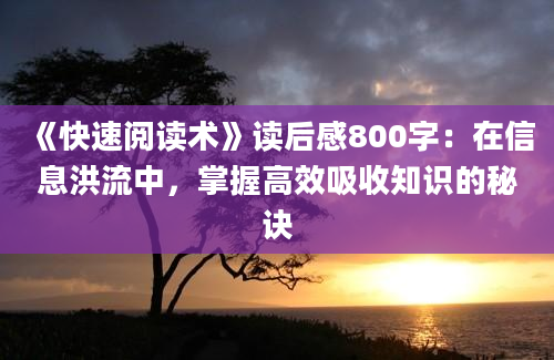 《快速阅读术》读后感800字：在信息洪流中，掌握高效吸收知识的秘诀