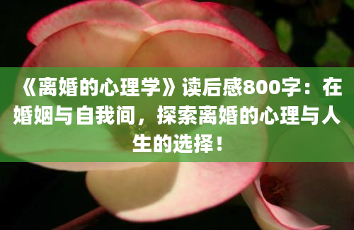 《离婚的心理学》读后感800字：在婚姻与自我间，探索离婚的心理与人生的选择！