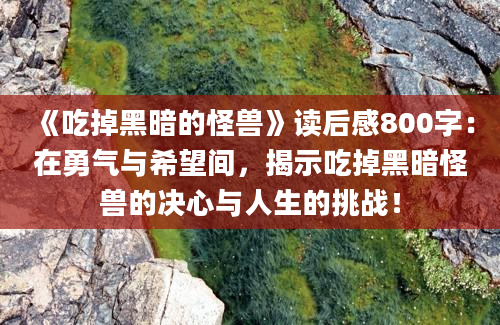 《吃掉黑暗的怪兽》读后感800字：在勇气与希望间，揭示吃掉黑暗怪兽的决心与人生的挑战！