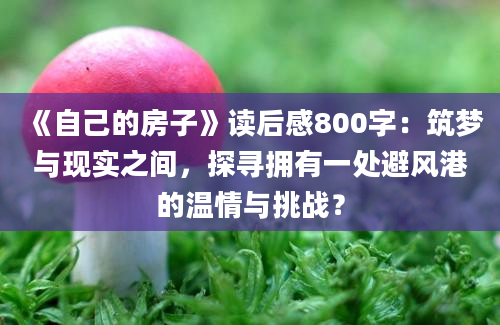 《自己的房子》读后感800字：筑梦与现实之间，探寻拥有一处避风港的温情与挑战？