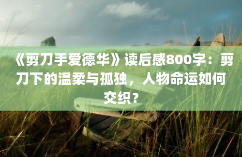 《剪刀手爱德华》读后感800字：剪刀下的温柔与孤独，人物命运如何交织？