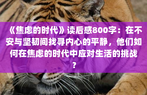 《焦虑的时代》读后感800字：在不安与坚韧间找寻内心的平静，他们如何在焦虑的时代中应对生活的挑战？