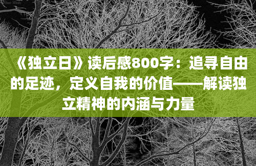 《独立日》读后感800字：追寻自由的足迹，定义自我的价值——解读独立精神的内涵与力量