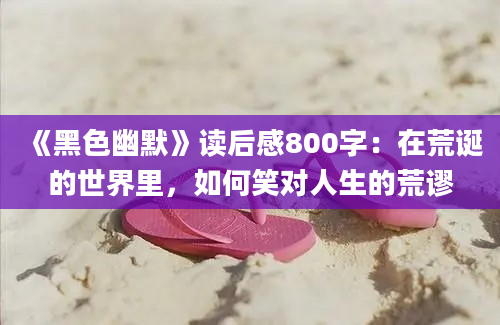 《黑色幽默》读后感800字：在荒诞的世界里，如何笑对人生的荒谬