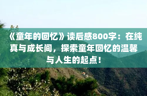 《童年的回忆》读后感800字：在纯真与成长间，探索童年回忆的温馨与人生的起点！